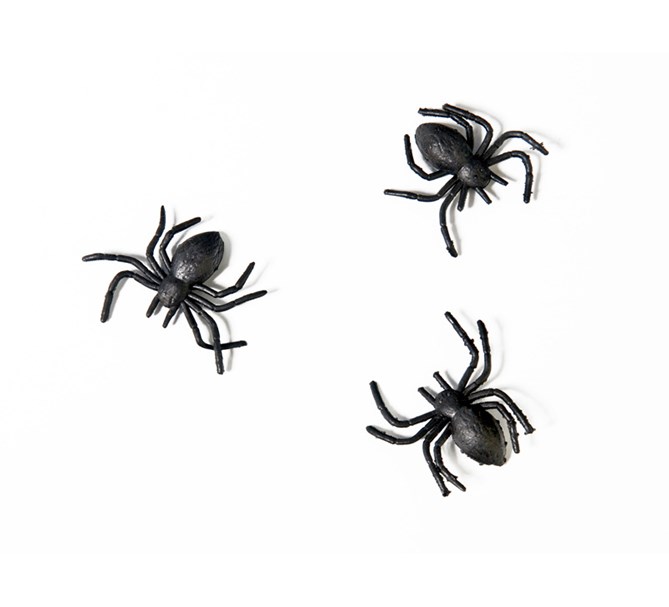 Konfetti spindlar Halloween, 10-pack