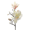Magnolia rosa/vit, 60 cm.
