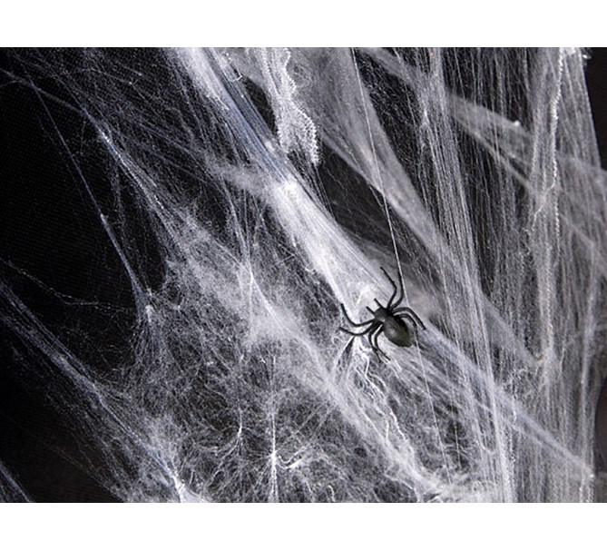 Halloween spindelnät med spindlar