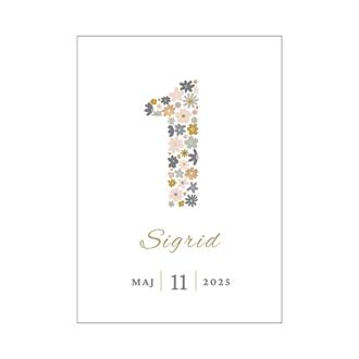 Personlig välkomstskylt 1 år, flera storlekar