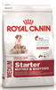 Royal Canin Medium starter
