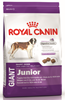 Royal Canin Giant junior