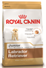Royal canin Labrador Puppy