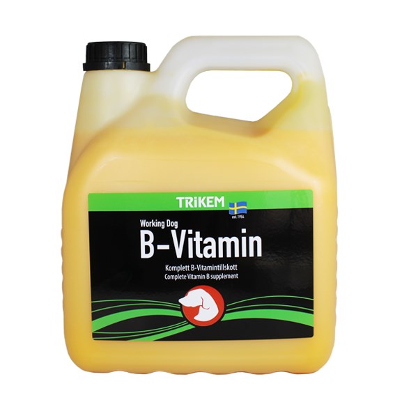 B-vitamin WorkingDog 500ml