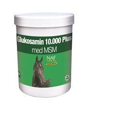 Glucosamine 10.000