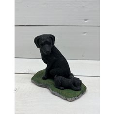 Labrador Black & Pup