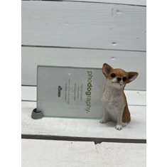 Fotoram glas Chihuahua Fawn