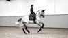 Schabrak Loire Classic Dressage Square Black