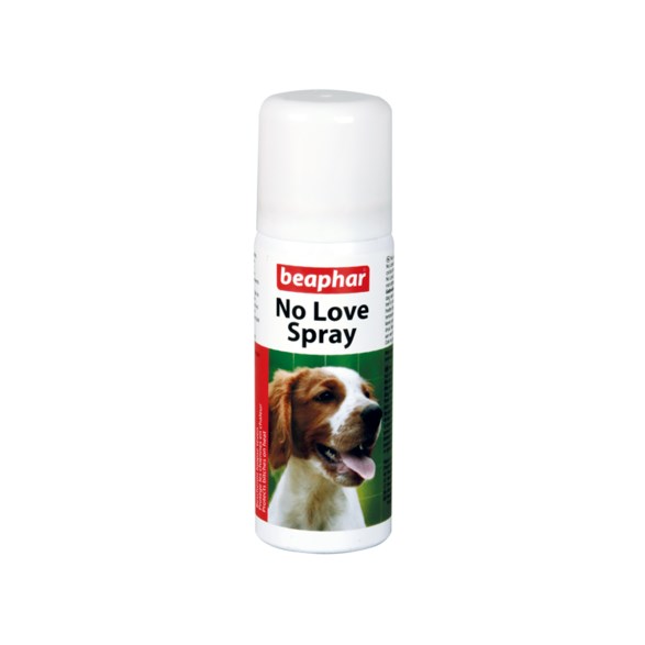 No Love Spray Hund