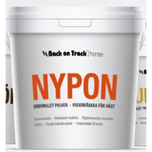 Nyponpulver