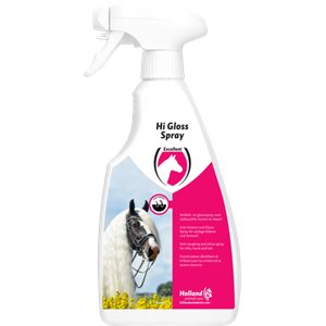 Hi Gloss Spray 500Ml