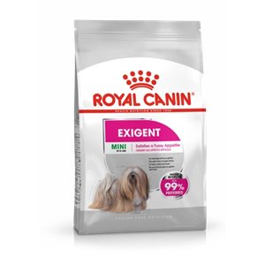 Exigent Mini