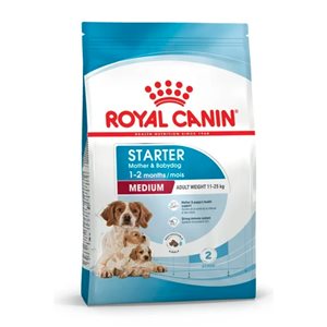 Medium Starter