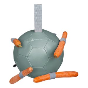 Carrotball Mistel