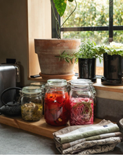 Terracotta Plant Pot M