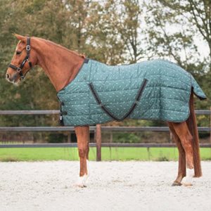 Stalltäcke 200Gr