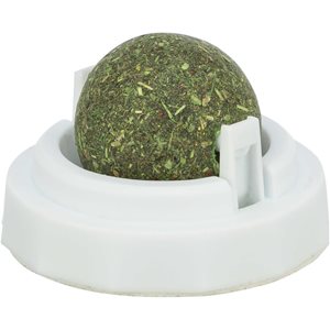 Catnipboll Med Hållare 5Cm