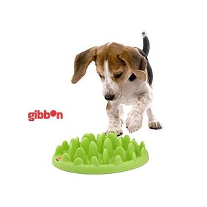 Northmate Green Mini Aktiveringsplatta/Matskål Grön
