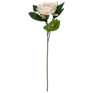 Pionblomma