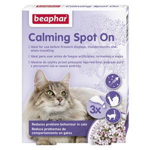 Calming Spot On Cat