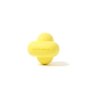 Er Fetch Toy Small