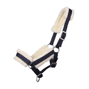 Head Collar Foal With Fur