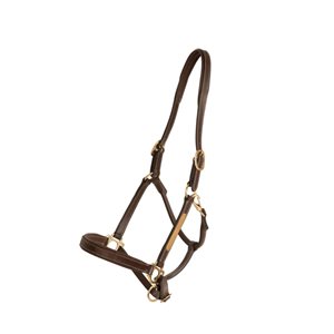 Lädergrimma Brass