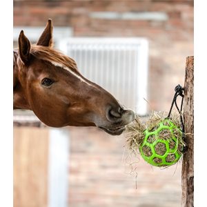 Hay Ball Green