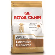 Royal canin Labrador Puppy