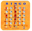 Luckbricka för bingo 1-75
