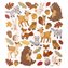 Ark med stickers 15x16,5cm - Forest Animals