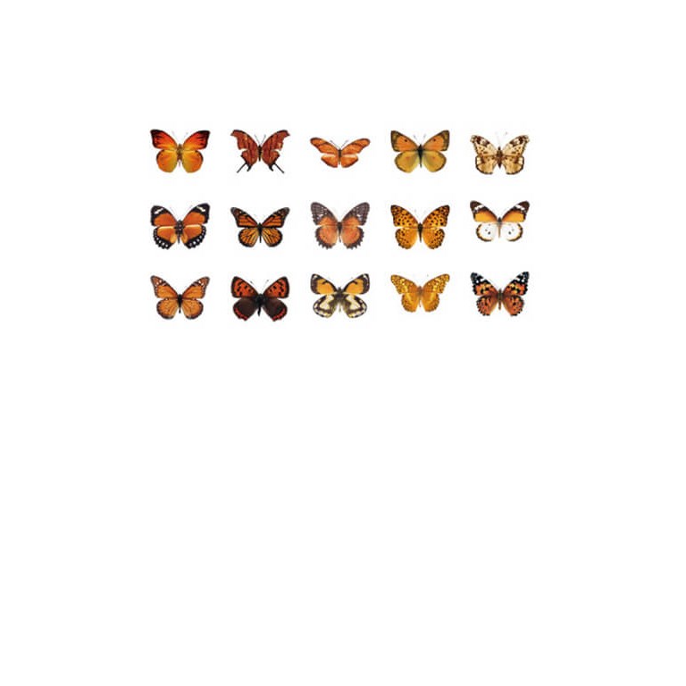 Stickers - Fjärilar - Orange - 45st