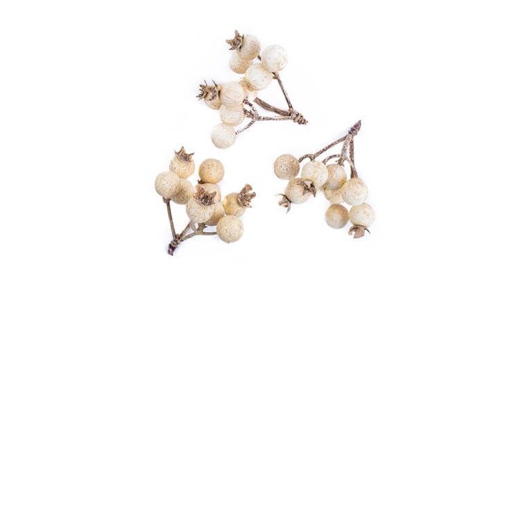 Dekorativa kvistar med bär - Ivory