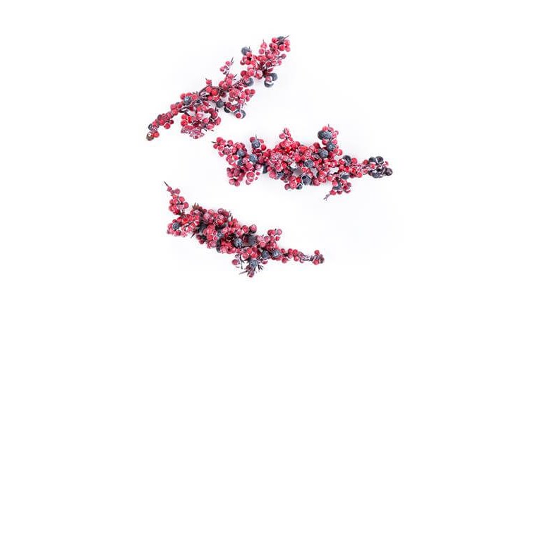 Dekorativa kvistar - Röda små bär