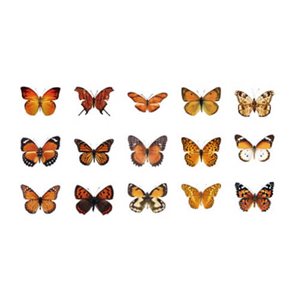Stickers - Fjärilar - Orange - 45st