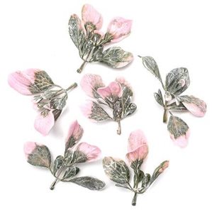 Dekorativa kvistar - Rosa & Gröna blad - 6st