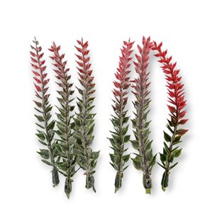 Dekorativa kvistar - Lavender Röd - 6st