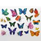 Stickers - Exotiska Fjärilar - 60st