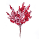 Dekorativa kvistar med frostade bär - Röda