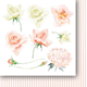 Scrapbookingpapper - 15x15cm - Nights and Days- Flowers