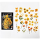 Stickers - Gula blommor - 40st