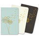 Jotter Dandelion - Set of 3 great little notebooks - Dotted