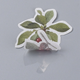 Stickers - Växter & Fåglar - 60st