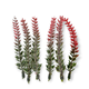 Dekorativa kvistar - Lavender Röd - 6st