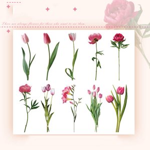Stickers - Stora blommor med stjälk - Rosa tulpaner  -10st