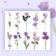 Stickers - Stora blommor med stjälk - Lila  - 10st