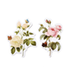 Stickers - Blommix  - 50st