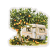 Stickers - Clear - Campingliv - Gröna  toner - 20st