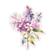 Stickers - Clear - Blombuketter &  Vaser - 20st