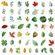 Stickers - Mixade blad - 50st